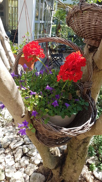 Holiday House Altea Banjole Dış mekan fotoğraf